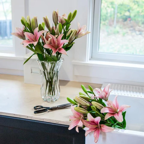 Top 10 Birthday Flowers To Gift And Their Meanings